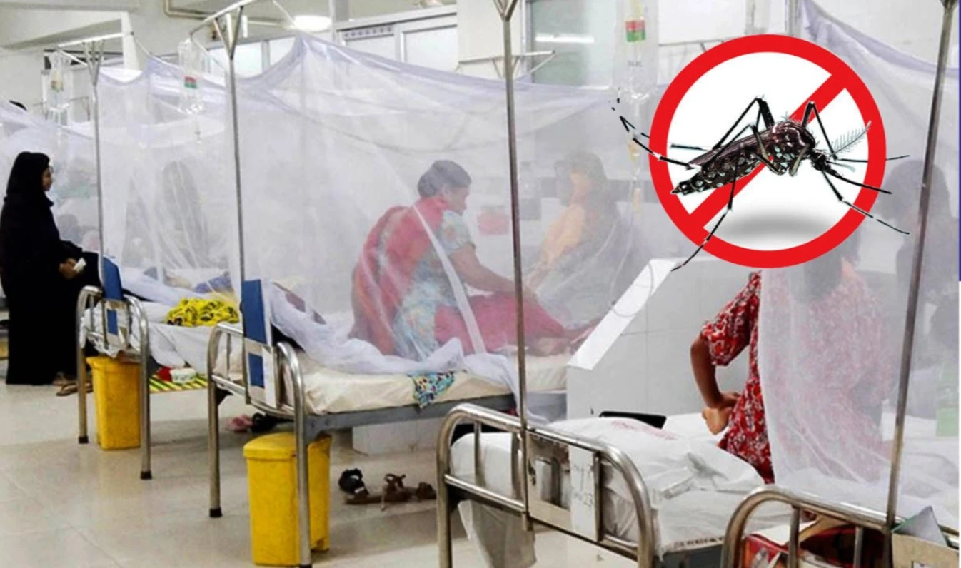 ডেঙ্গুতে প্রাণ গেল ৫ জনের, হাসপাতালে ভর্তি ৪৯০ জন